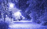 Snow Fall Image